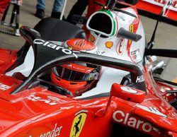 La FIA descarta el uso del 'halo'