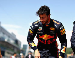 Daniel Ricciardo: "En 2018 me quedaré en Red Bull"