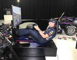 Helmut Marko: "Ricciardo y Verstappen tienen contratos cerrados"