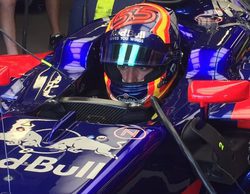 Carlos Sainz: "Mi carrera deportiva depende de Helmut Marko y de Red Bull"