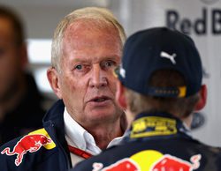 Helmut Marko: "Desde el comienzo de la temporada nuestro chasis ha mejorado en un segundo"