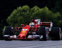 Sebastian Vettel: "Será una carrera larga, pueden suceder muchas cosas"