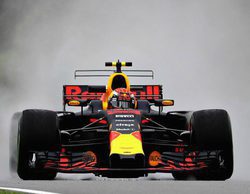 Max Verstappen lidera unos aguados Libres 1 en el GP de Malasia 2017