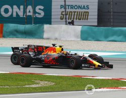 Max Verstappen: "Espero que el año que viene pueda pelearle a Hamilton el Campeonato"