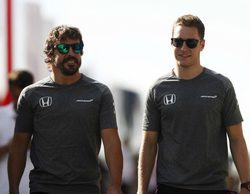 Alain Prost: "Stoffel Vandoorne está al mismo nivel o por encima del de Fernando Alonso"