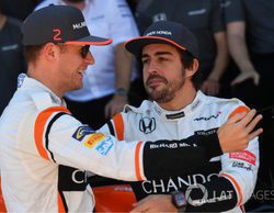 Stoffel Vandoorne: "Ha sido genial contar con Alonso, es uno de los mejores pilotos de la parrilla"