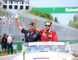 Giedo Van Der Garde: "Vettel es un piloto muy bueno, pero creo que Verstappen es mejor"