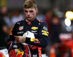 Max Verstappen: "El halo será feo, de eso no tengo esperanzas"