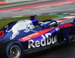 Toro Rosso: "Si podemos compartir un proveedor de motores con Red Bull, sería muy bueno"