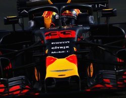 Max Verstappen: "Tenemos que avanzar durante esta temporada para luchar por el título en 2020"