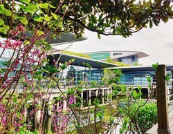 GP de China 2019: Libres 1 en directo