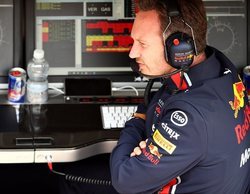 Christian Horner: "Lo emocionante de Verstappen es que mejorará cada vez más"