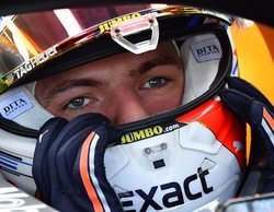 Max Verstappen: "No me importa mucho quién sea mi compañero de equipo"