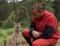 Hamilton: "Puede que ahora nos podamos sentir como los animales que viven en cautividad"