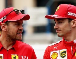 Sebastian Vettel: "No había intención por parte del equipo de continuar juntos"