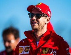 Ricciardo, sobre Vettel: "Si todavía tiene el deseo de competir al máximo nivel, debería continuar"