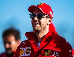 Ricciardo, sobre Vettel: "Si todavía tiene el deseo de competir al máximo nivel, debería continuar"