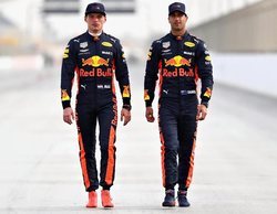 Ricciardo: "Verstappen y yo nunca nos odiamos, simplemente queríamos acabar con la carrera del otro"