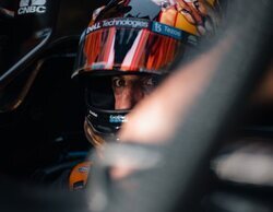 Daniel Ricciardo: "Días como este son bastante dolorosos de tratar y entender"