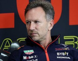 Christian Horner: "Si no pueden sobrevivir a Helmut, nunca sobrevivirán a la F1"