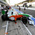 forceindia