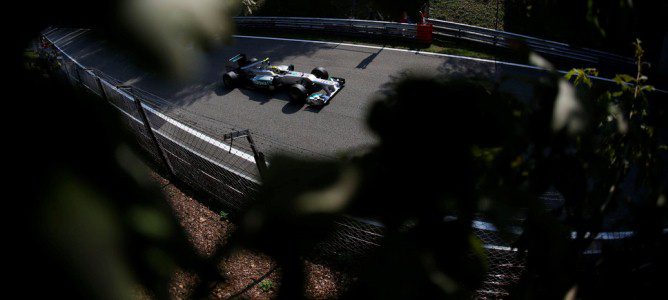 Nico Rosberg a través de las hojas de los árboles que rodean el circuito de Monza