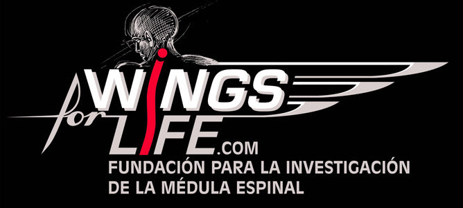 Wings For Life recauda 48.000 euros con la subasta de los monos de los seis Campeones del Mundo de la temporada 2012