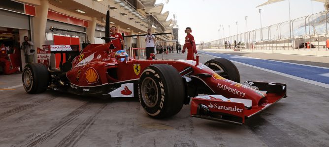 Fernando Alonso: "Aprendemos algo nuevo en cada vuelta"
