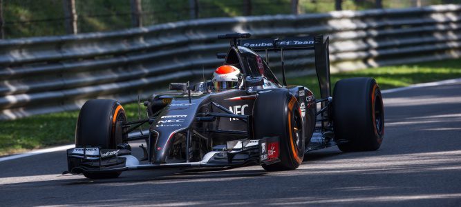 Adrian Sutil: "Será difícil ir al máximo por la reducción de carga aerodinámica de este año"