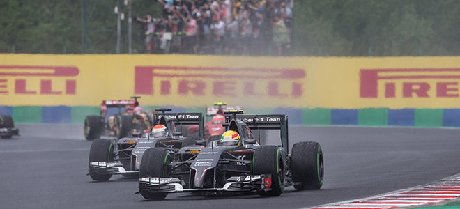 Análisis F1 2014: Sauber y su viaje por el desierto
