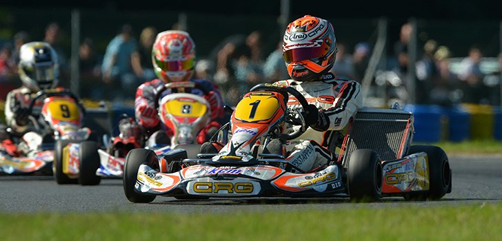 Max Verstappen Karting