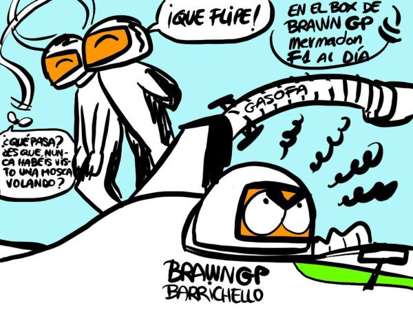 La viñeta (67): '¡Que flipe con la mosca!'